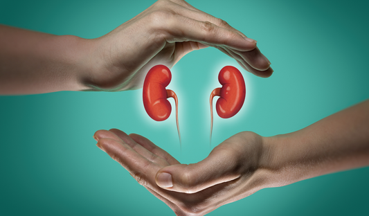Myth: Transplants are a permanent cure for #kidneydisease
