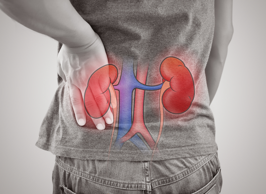 PubMed Central© - Long-term interplay between COVID-19 and chronic kidney disease