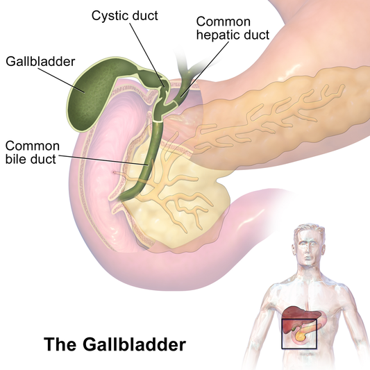 Having no #gallbladder places an extra load on the #kidneys and is cause for great concern